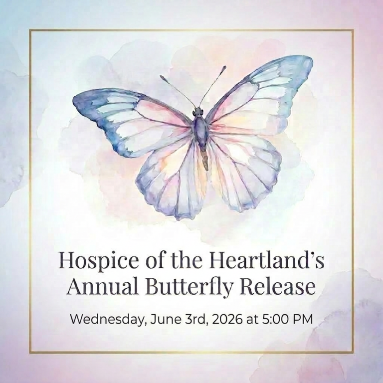 butterfly image